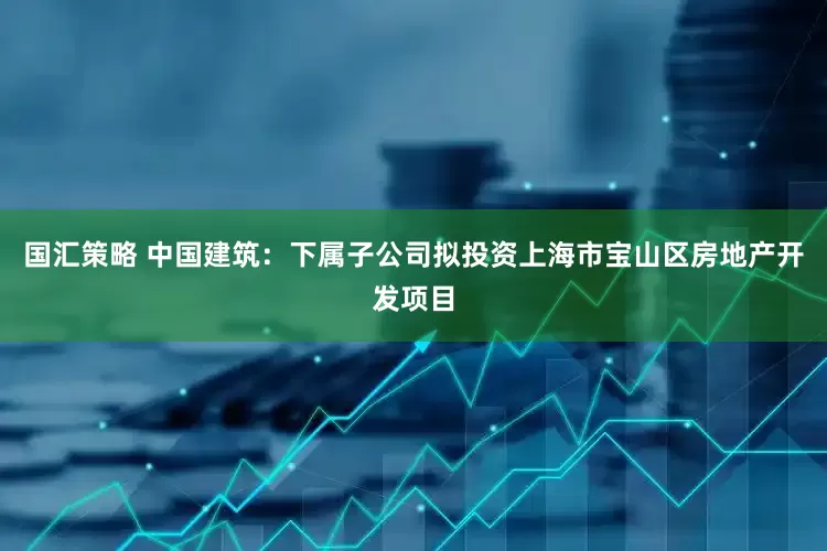 国汇策略 中国建筑：下属子公司拟投资上海市宝山区房地产开发项目