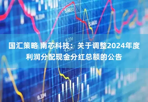 国汇策略 南芯科技：关于调整2024年度利润分配现金分红总额的公告