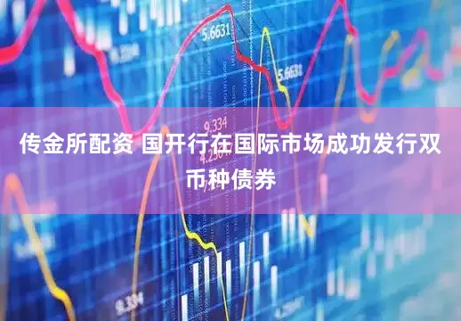 传金所配资 国开行在国际市场成功发行双币种债券