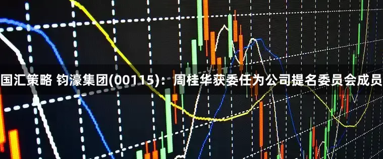 国汇策略 钧濠集团(00115)：周桂华获委任为公司提名委员会成员