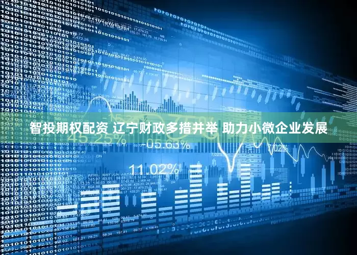 智投期权配资 辽宁财政多措并举 助力小微企业发展